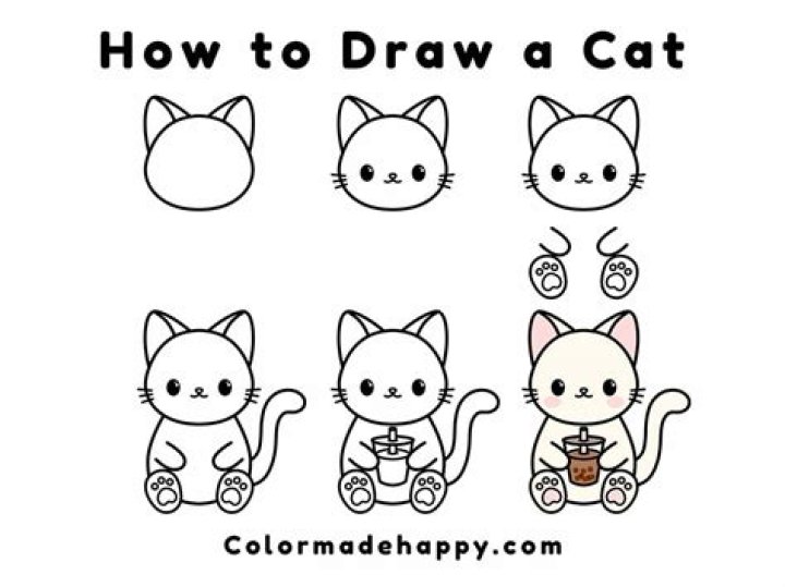 How to draw a cat?