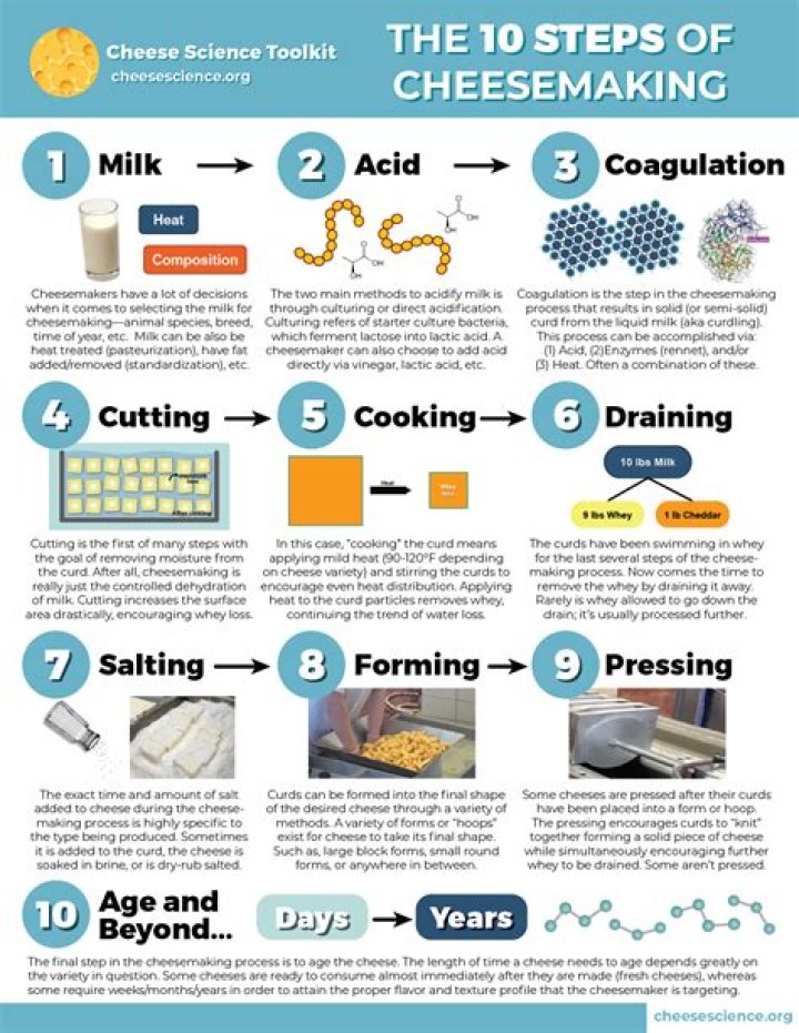 How to make cheese - How To Discuss
