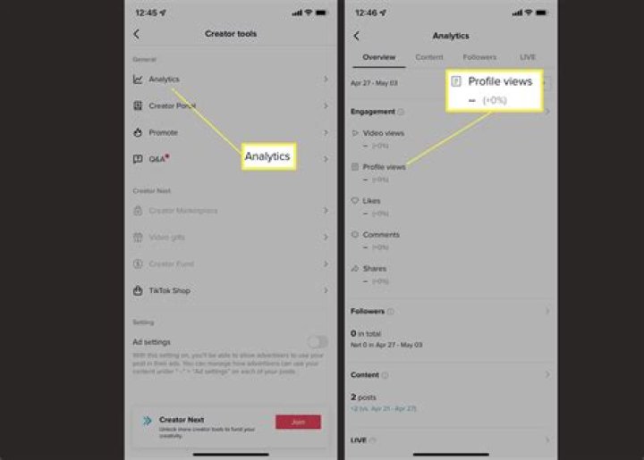 How to see who viewed your tiktok