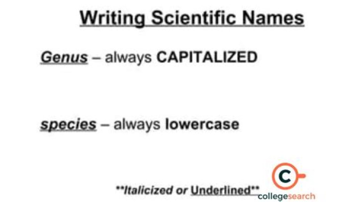 How To Write Scientific Names