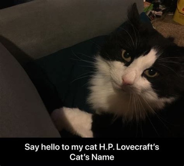 HP LOVECRAFT’S CAT - How To Discuss