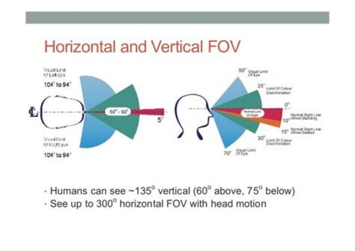 Human Fov - How To Discuss