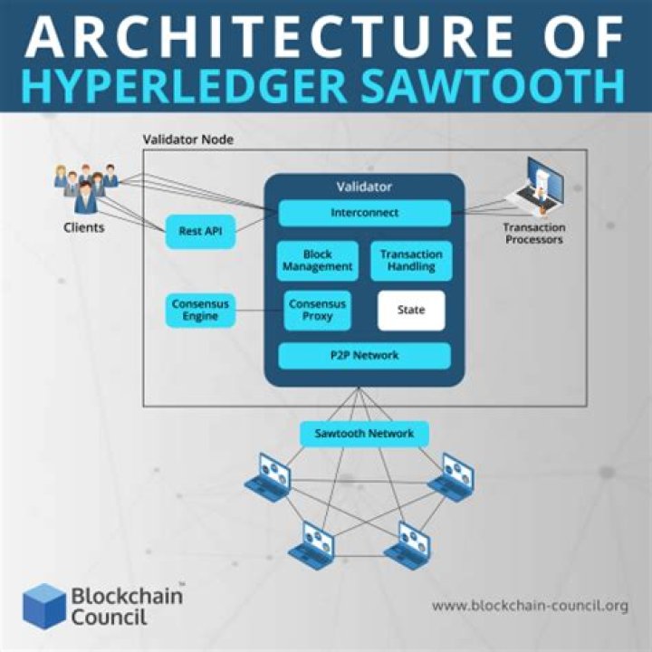 Hyperledger Sawtooth - How To Discuss