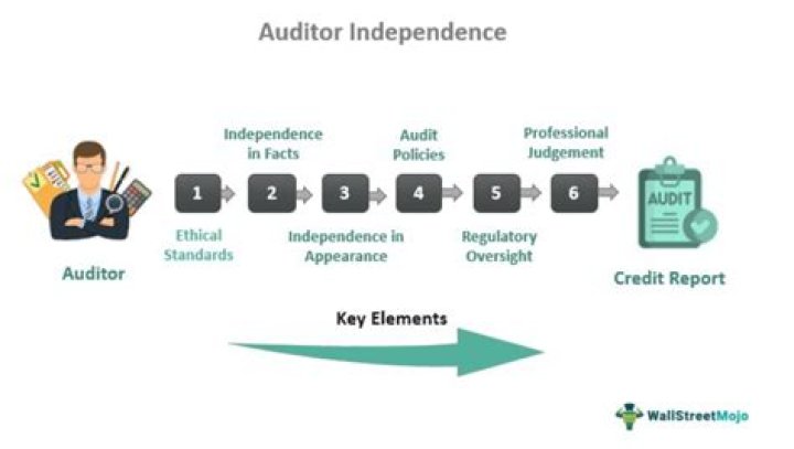 Independent auditor - How To Discuss