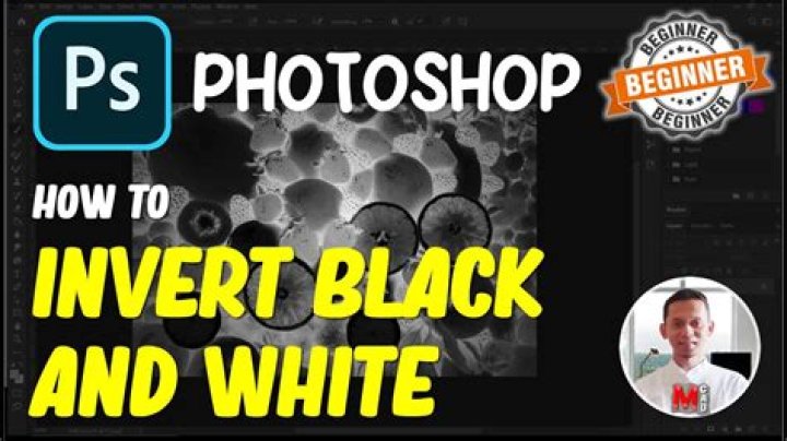 Invert photo - How To Discuss
