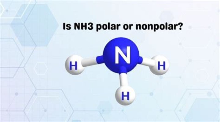 Is Nh3 Polar - How To Discuss