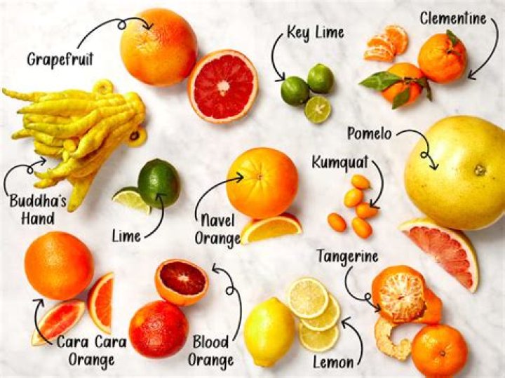 Is Peach A Citrus - How To Discuss