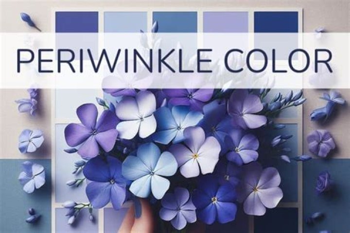 Is Periwinkle Blue Or Purple