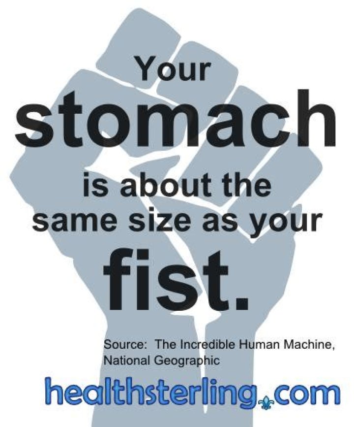 Is Your Stomach The Size Of Your Fist