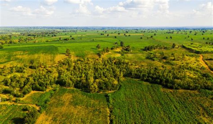 Land Management - How To Discuss