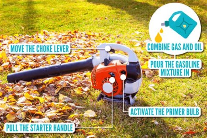 Leaf Blower Choke - How To Discuss
