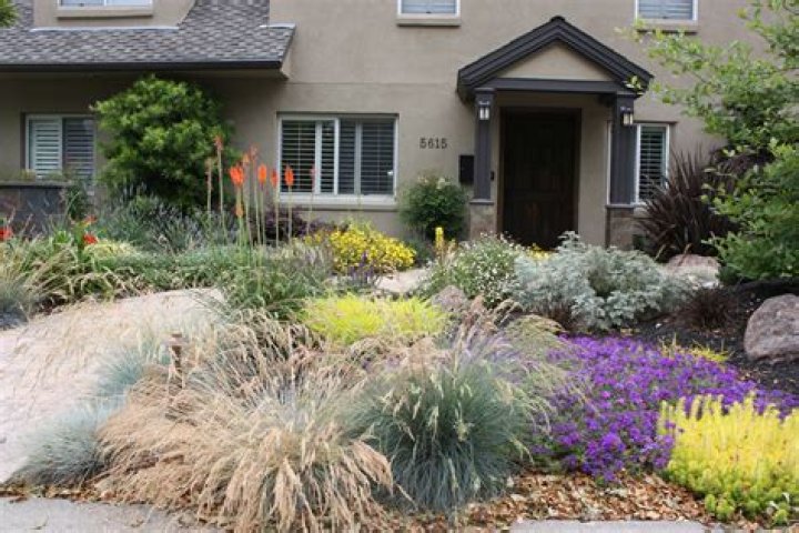 Low maintenance drought tolerant front yard