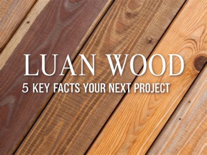 Luan wood - How To Discuss