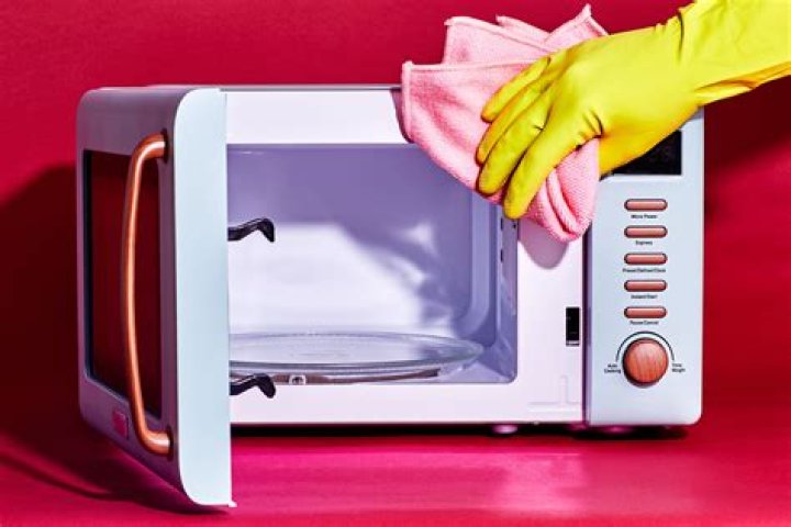 Microwave Cleaner Lady - How To Discuss