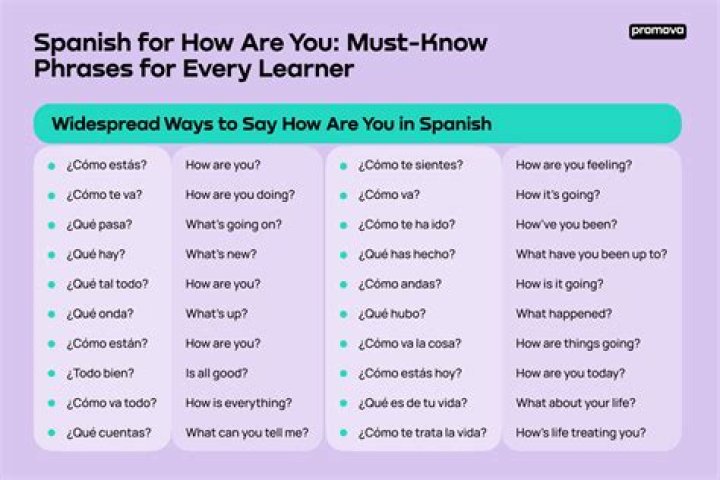 Mullet In Spanish - How To Discuss