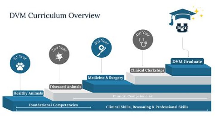 Nau Veterinary Program - How To Discuss