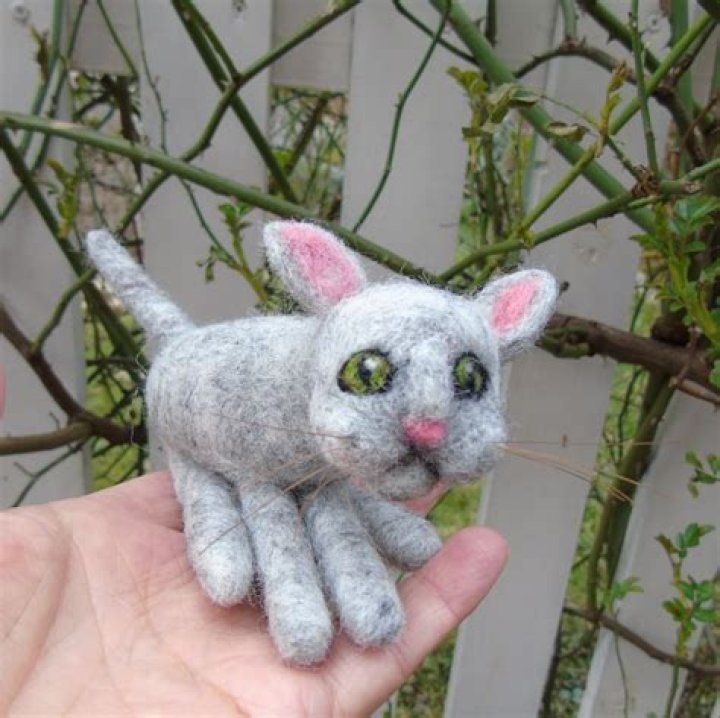 Needle felted cat - How To Discuss