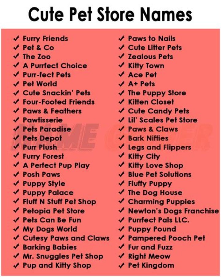Nomes Para Pet Shop - How To Discuss
