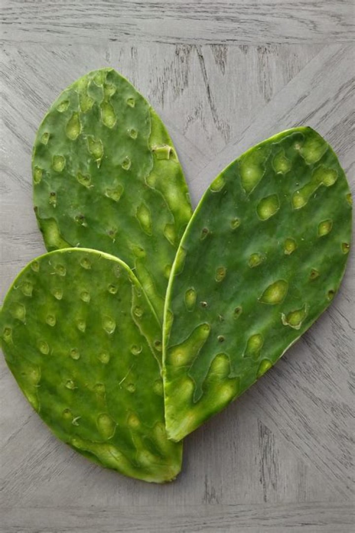 Nopal - How To Discuss