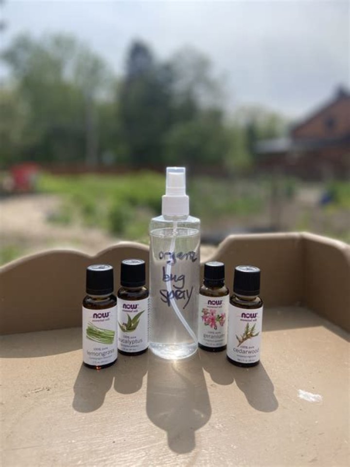 Organic bug spray - How To Discuss