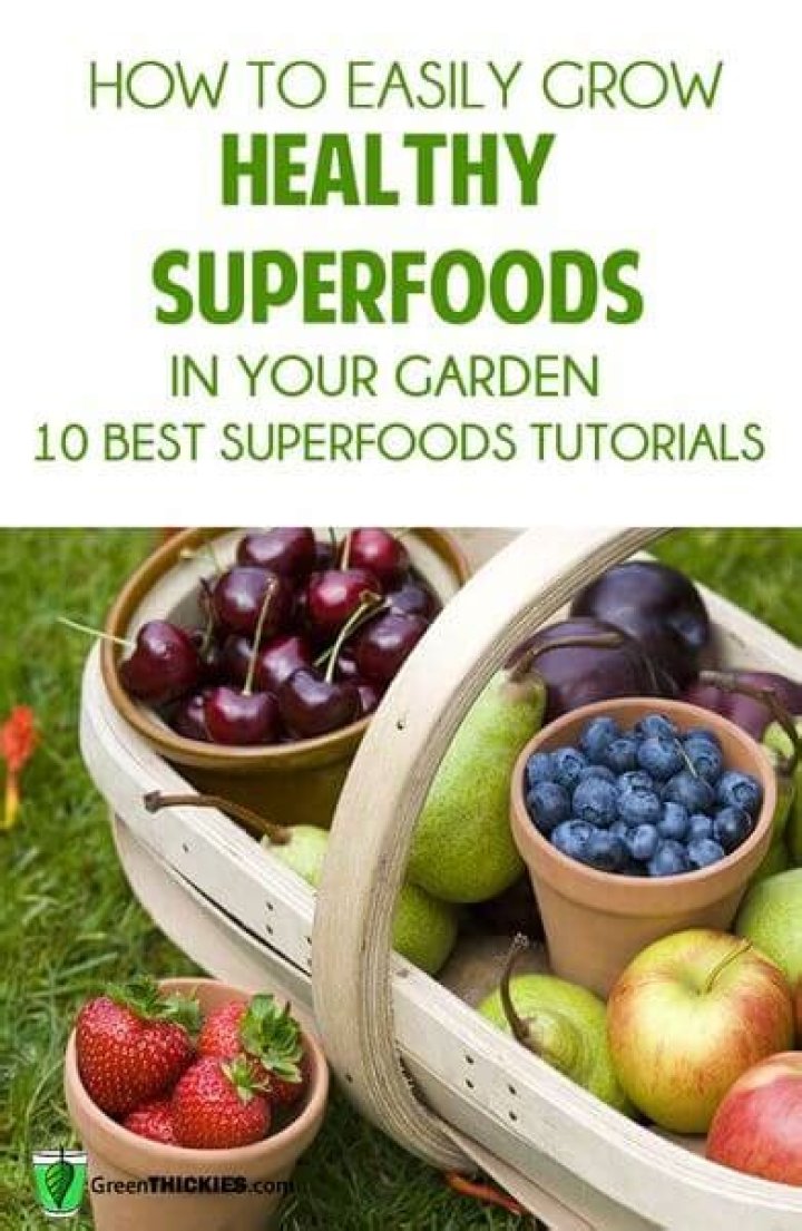 Organic Superfoods - How To Discuss