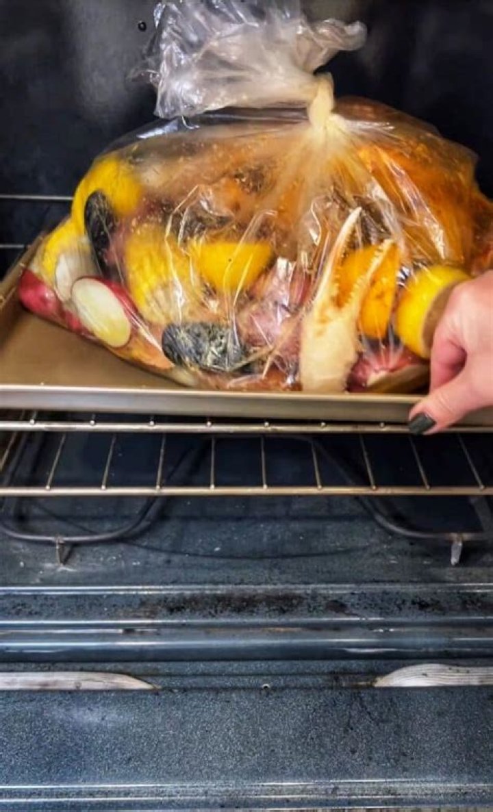 Oven Bag Substitute - How To Discuss