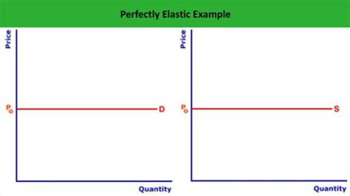 Perfectly elastic demand - How To Discuss