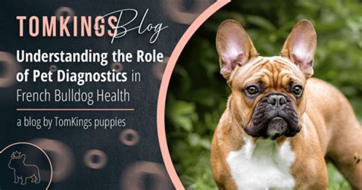 Pet Diagnostics - How To Discuss