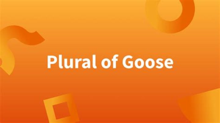 Plural Of Goose - How To Discuss