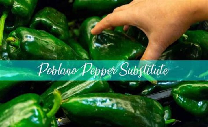 Poblano Pepper Substitute - How To Discuss