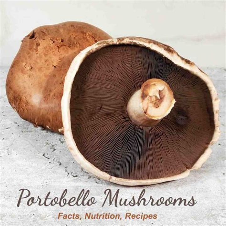 Portobello Mushroom Poisoning - How To Discuss