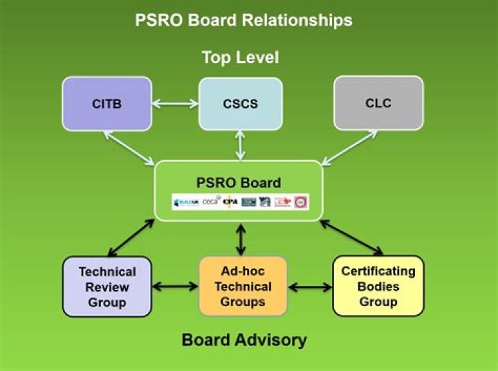 Professional Standards Review Organization (psro)