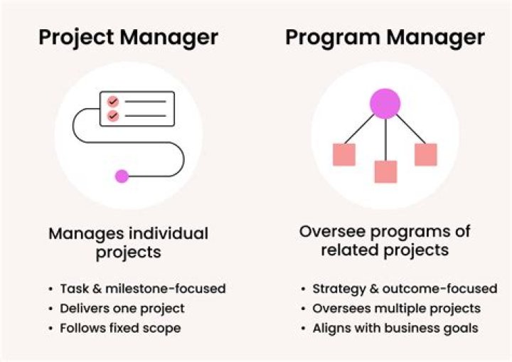 Program manager vs project manager