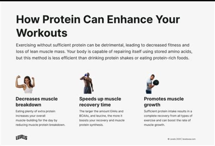 Protein before workout - How To Discuss