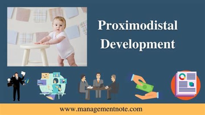 Proximodistal Principle - How To Discuss