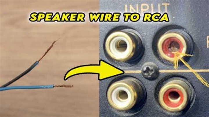 Rca to headphone jack - How To Discuss