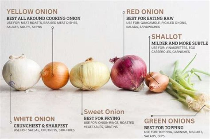 Red Onion Nutrition - How To Discuss