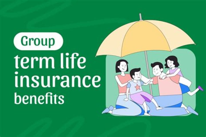 Renewable And Convertible Term Life Insurance (R&C)