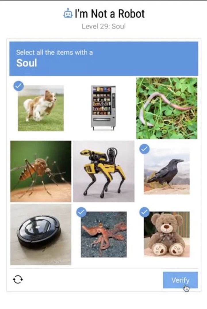 Search Robot - How To Discuss