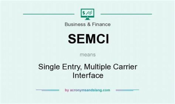 Single-entry Multiple Company Interface (SEMCI)