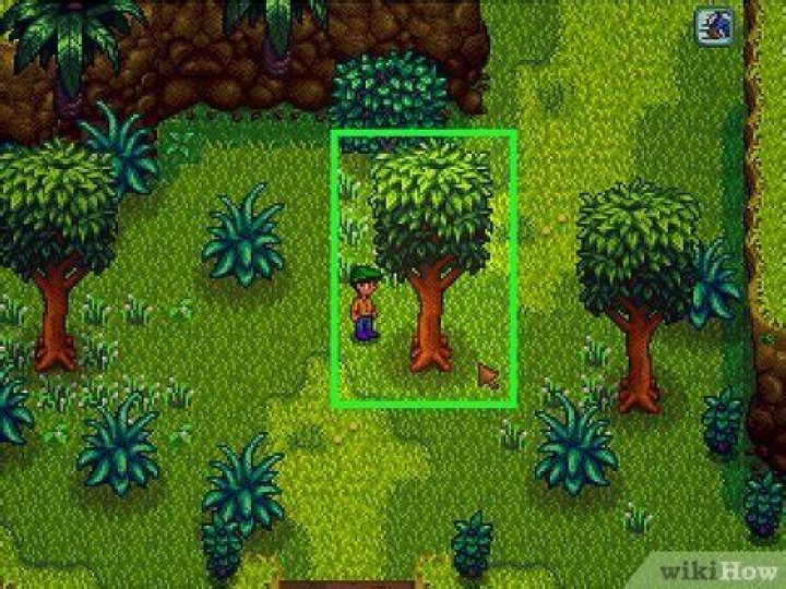 Stardew hardwood - How To Discuss