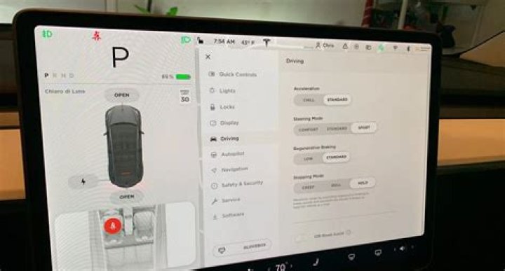 Tesla brakes - How To Discuss