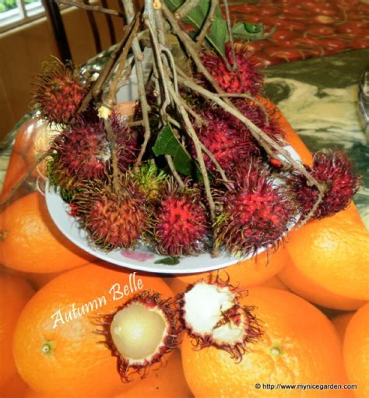 Tico Berry - How To Discuss