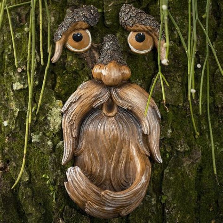 Tree faces - How To Discuss