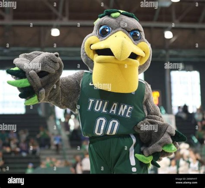 Tulane University Mascot - How To Discuss