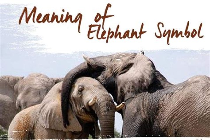 What do elephants symbolize - How To Discuss