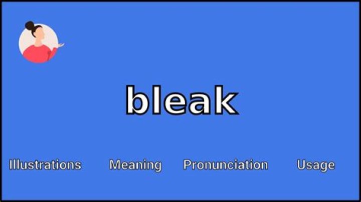 What Does Bleak Mean - How To Discuss
