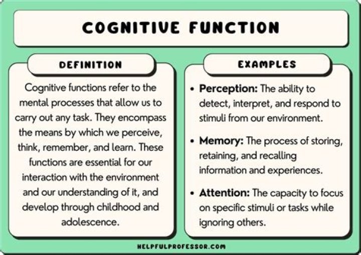 What is cognitive function - How To Discuss
