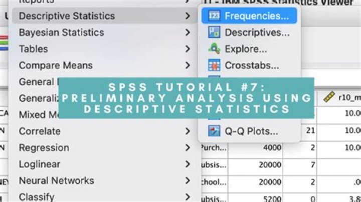 What is spss - How To Discuss