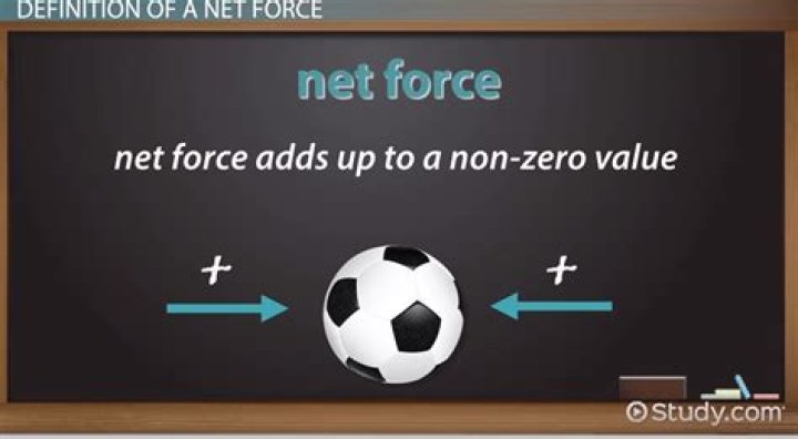 What Is The Net Force On The Force Gauge